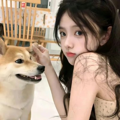 冻死的爱 封面